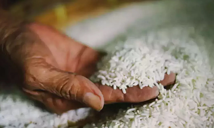 Gangolli: ಅನ್ನಭಾಗ್ಯ ಅಕ್ಕಿ ಅಕ್ರಮ ದಾಸ್ತಾನು ಪತ್ತೆ