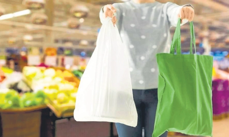 Mangaluru: ಪ್ಲಾಸ್ಟಿಕ್‌ಗಿದೆ ಪರ್ಯಾಯ, ಮನಸು ಬೇಕಷ್ಟೆ!