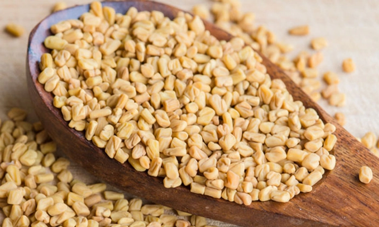 ಕಹಿ ಮೆಂತ್ಯೆಯ ಸವಿ: ಆರೋಗ್ಯಕ್ಕೆ ಬಹು ಉಪಕಾರಿ