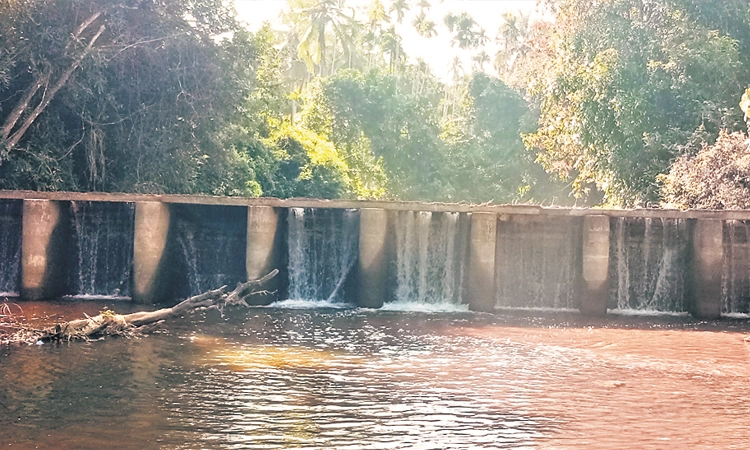 ಚೆನ್ನಾವರ ಕಿಂಡಿ ಅಣೆಕಟ್ಟಿನಲ್ಲಿ ಭರಪೂರ ನೀರು ಸಂಗ್ರಹ