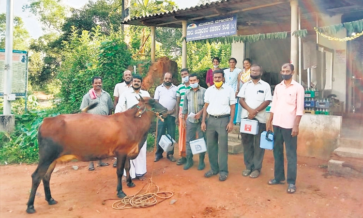 ಜಿಲ್ಲೆಯಲ್ಲಿ ಜಾನುವಾರು ಸಮೀಕ್ಷೆ ಶೇ. 97.99 ಪೂರ್ಣ