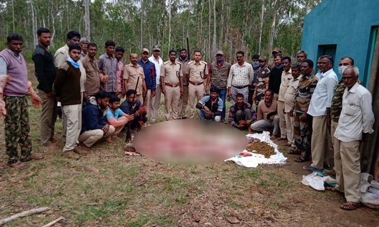 ಮೈಸೂರು: ಜಿಂಕೆಗಳನ್ನು ಕೊಂದು ಅಡುಗೆ ತಯಾರಿಸುತ್ತಿದ್ದ 6 ಮಂದಿಯ ಬಂಧನ