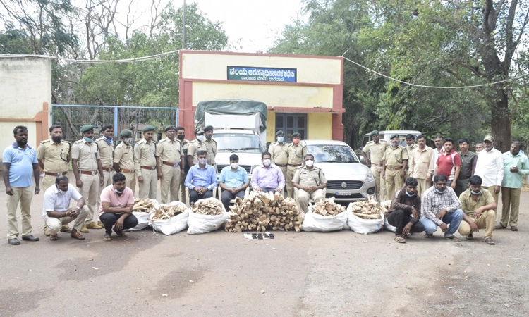 ಧಾರವಾಡ ಅರಣ್ಯಾಧಿಕಾರಿಗಳ ಭರ್ಜರಿ ಬೇಟೆ : 40 ಲಕ್ಷ ಮೌಲ್ಯದ ಶ್ರೀಗಂಧ ವಶ, ಐವರ ಬಂಧನ
