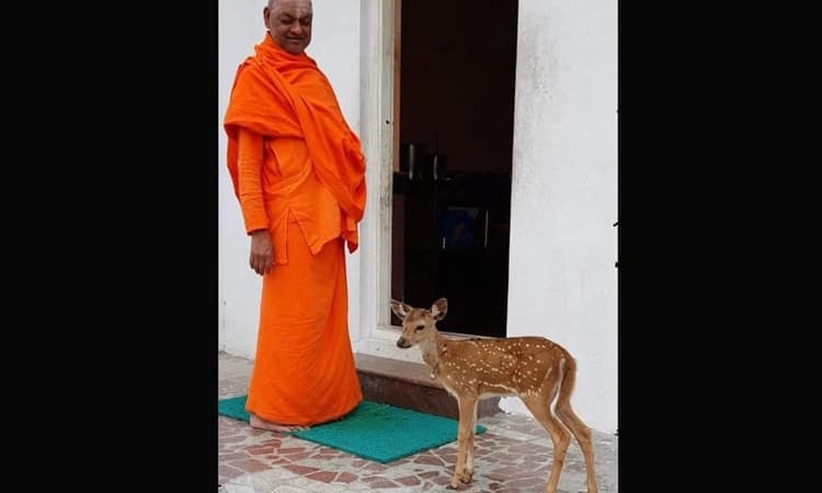 ಗುಂಡ್ಲುಪೇಟೆ: ಅಡವಿಮಠಕ್ಕೆ ಬಂದಿದ್ದ ಜಿಂಕೆ ಮರಳಿ ಕಾಡಿಗೆ