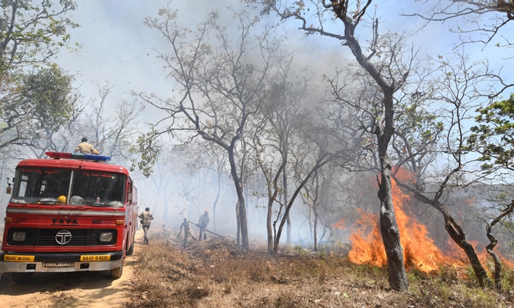 ರಕ್ಷಿತಾರಣ್ಯ ಪ್ರದೇಶಗಳ ಬೆಂಕಿ ಪತ್ತೆಗೆ ಡ್ರೊಣ್‌ ಕಣ್ಗಾವಲು, ತಡೆಗೆ ಕಾಪ್ಟರ್‌ ಬಳಕೆ