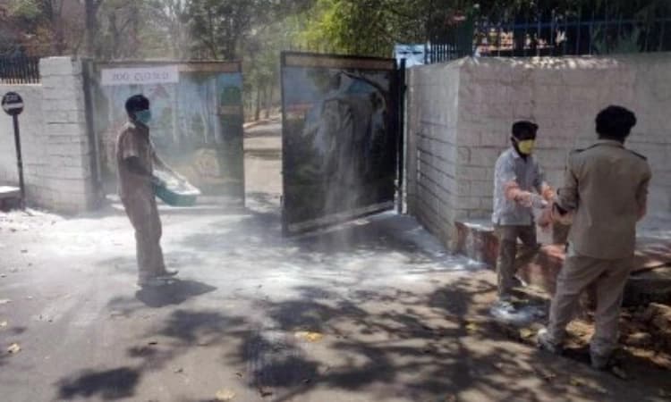 ಹಕ್ಕಿ ಜ್ವರದ ಭೀತಿ: ಬನ್ನೇರುಘಟ್ಟ ಉದ್ಯಾನವನದಲ್ಲಿ ಮುನ್ನೆಚ್ಚರಿಕೆ ಕ್ರಮ