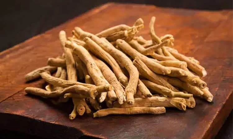 ಸರ್ವರೋಗಕ್ಕೆ ಮನೆ ಮದ್ದು ಅಶ್ವಗಂಧ