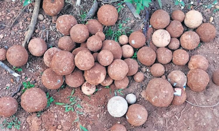 ಕಾರ್ಕಳ: ಕಟ್ಟಡ ನಿರ್ಮಾಣ ಕಾರ್ಯದ ವೇಳೆ ಮಧ್ಯಕಾಲೀನ 100 ಕ್ಕೂ ಹೆಚ್ಚು ಫಿರಂಗಿ ಗುಂಡುಗಳು ಪತ್ತೆ