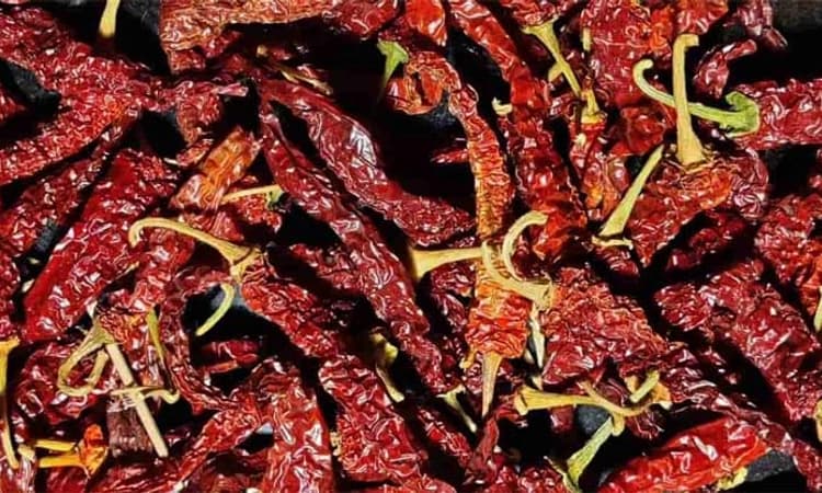 ಬಾಗಲಕೋಟೆ: ಒಣ ಮೆನಸಿನಕಾಯಿಗೆ ಕಳ್ಳರ ಕಾಟ ತಪ್ಪಿಸಿ