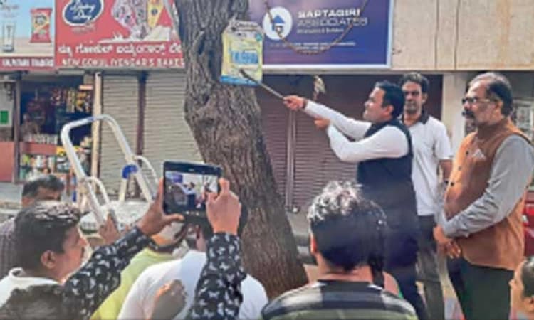 ಹುಬ್ಬಳ್ಳಿ: ಮರಗಳಿಗಿದ್ದ ಮೊಳೆ-ಜಾಹೀರಾತು ಫಲಕ ತೆರವು