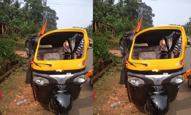 ಕುಕ್ಕೆ: ಯಾತ್ರಿಕನಿಗೆ ಬೀದಿ ನಾಯಿ ಕಡಿತ; ಆಟೋ ಪಲ್ಟಿ