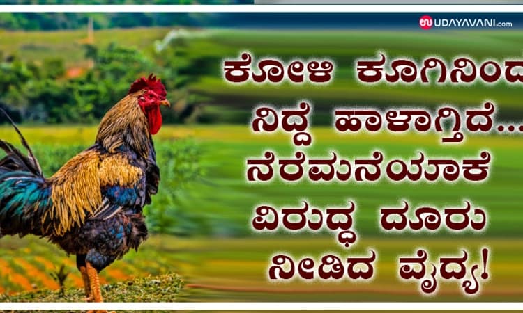 ಕೋಳಿ ಕೂಗಿನಿಂದ ನಿದ್ದೆ ಹಾಳಾಗ್ತಿದೆ…ನೆರೆಮನೆಯಾಕೆ ವಿರುದ್ಧ ದೂರು ನೀಡಿದ ವೈದ್ಯ!