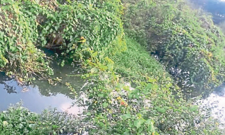 ಬೋರ್‌ವೆಲ್‌ ನೀರು ಕುಡಿಯಲು ಯೋಗ್ಯವಲ್ಲ  