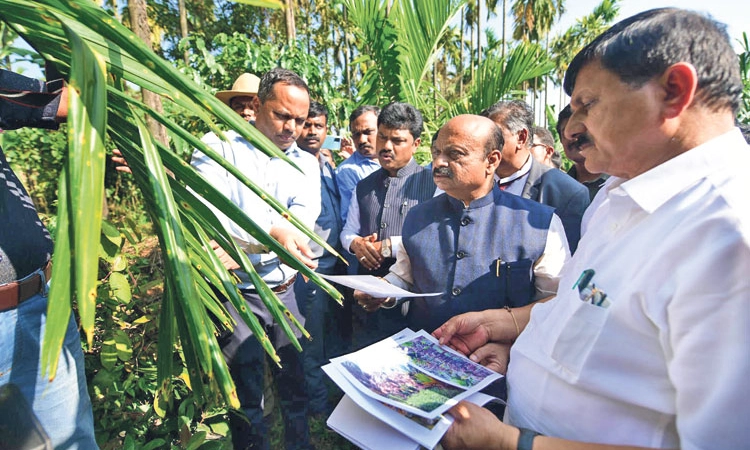 ಕಾಡಾನೆ ದಾಳಿಯಿಂದ ಸಾವು: ಪರಿಹಾರ ದುಪ್ಪಟ್ಟು; ಅಡಿಕೆ ಹವಾಮಾನ ಆಧಾರಿತ ಬೆಳೆ ವಿಮೆಗೆ ಸೇರ್ಪಡೆ