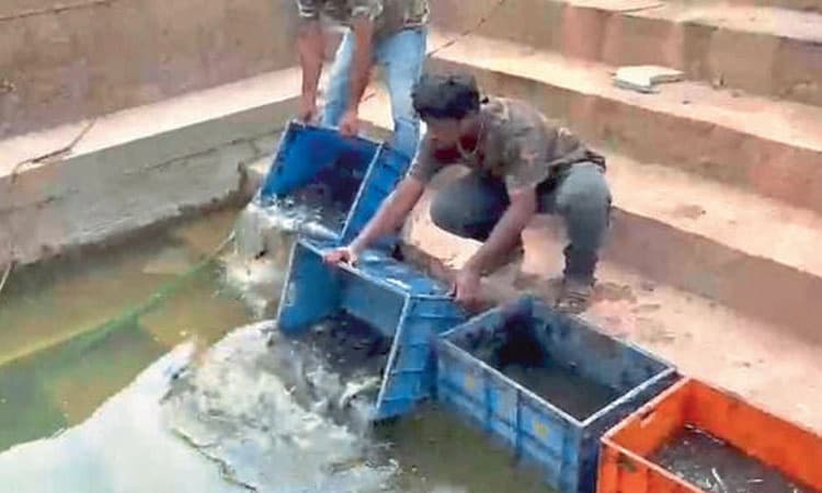 ನಗರದಲ್ಲೊಂದು ವಿನೂತನ “ಆಪರೇಷನ್‌’; ಮರ ಸ್ಥಳಾಂತರ ಸ್ವರೂಪದಲ್ಲೇ “ಮೀನು’ ಸ್ಥಳಾಂತರ!