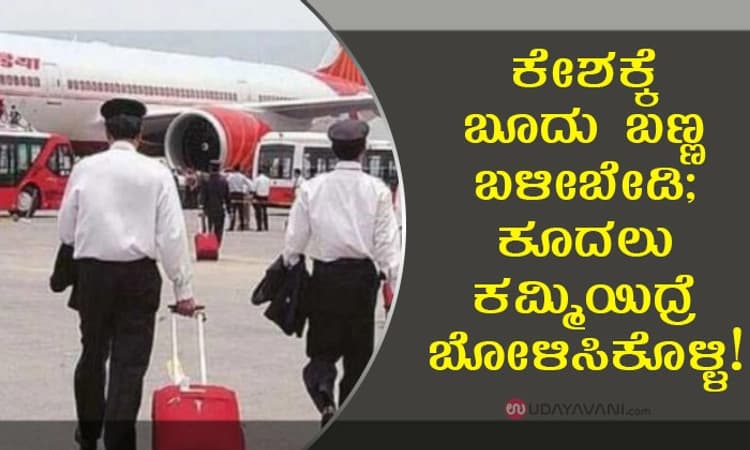 ಕೇಶಕ್ಕೆ ಬೂದು ಬಣ್ಣ ಬಳೀಬೇಡಿ; ಕೂದಲು ಕಮ್ಮಿಯಿದ್ರೆ ಬೋಳಿಸಿಕೊಳ್ಳಿ!