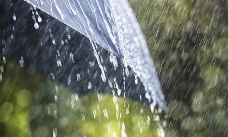 ಕರಾವಳಿಯ ವಿವಿಧೆಡೆ ಉತ್ತಮ ಮಳೆ; ಸಿಡಿಲಬ್ಬರ