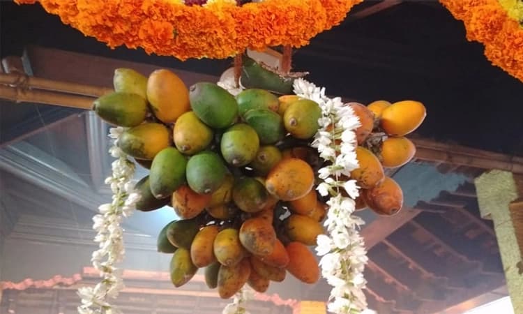 ಶ್ರೀ ದೇವರ ಅಡಿಕೆ ಪೂಜಾ ಉತ್ಸವ ಈ ಗ್ರಾಮದಲ್ಲಿ ಮಾತ್ರ