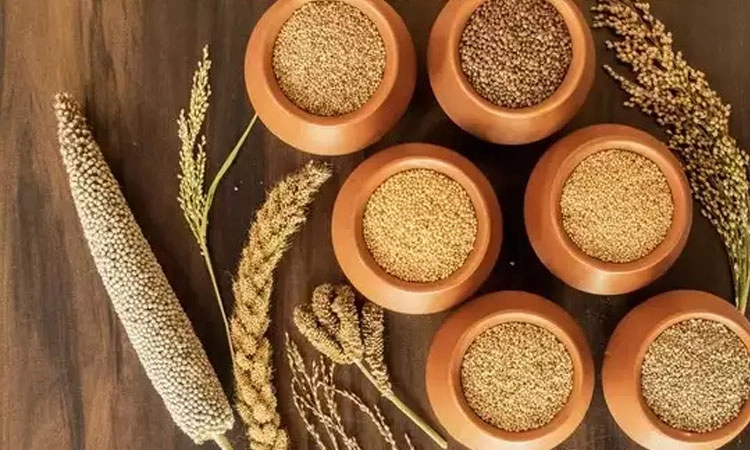 ಜನವರಿ 20-22; ಬೆಂಗಳೂರಿನಲ್ಲಿ ಮೂರು ದಿನಗಳ ಅಂತಾರಾಷ್ಟ್ರೀಯ ಸಾವಯವ ಮತ್ತು ಸಿರಿಧಾನ್ಯಗಳ ವಾಣಿಜ್ಯ ಮೇಳ