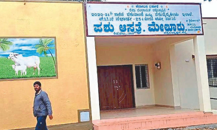 ಪಶು ಆಸ್ಪತ್ರೆಗೆ ಸಿಗದ ಉದ್ಘಾಟನೆ ಭಾಗ್ಯ