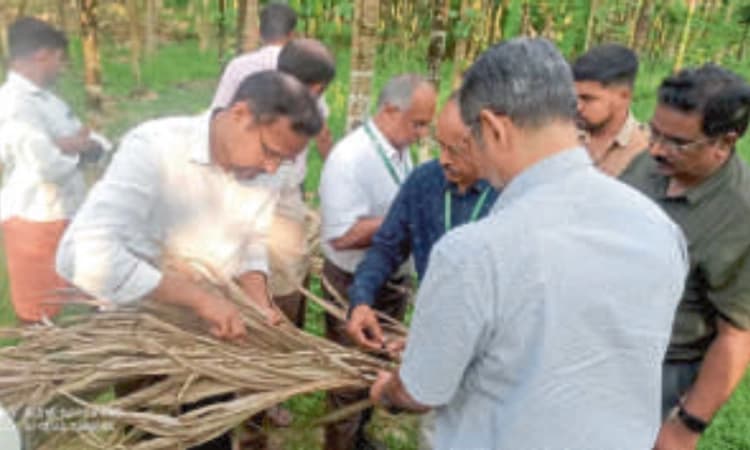 ಬೆಳ್ತಂಗಡಿ : ಅಡಿಕೆ ಎಲೆಚುಕ್ಕಿ ರೋಗ ನಿಯಂತ್ರಣಕ್ಕೆ ಔಷಧ ವಿತರಣೆ