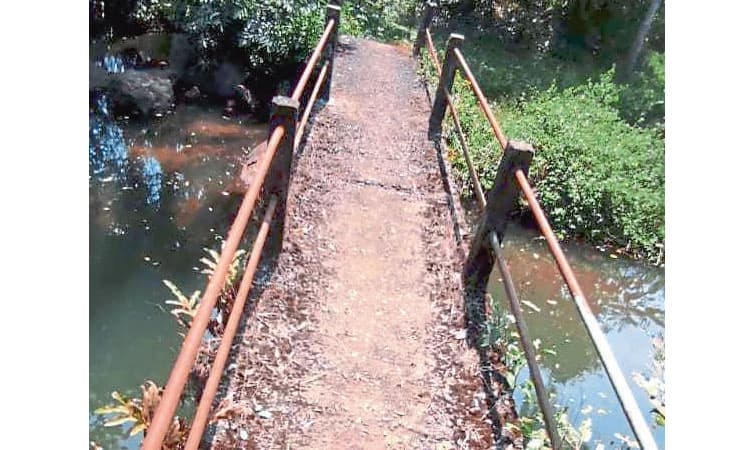 ಕುಸಿಯುವ ಸ್ಥಿತಿಯಲ್ಲಿ ವರ್ವಾಡಿ ಪೊದ್ದಲಕಟ್ಟ ಕಾಲುಸಂಕ; ಆತಂಕದಲ್ಲೇ ಜನರ ಓಡಾಟ