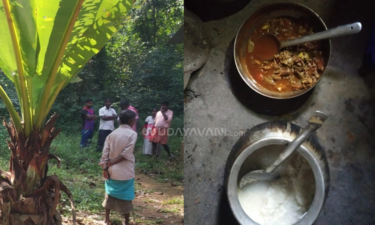 ಪುದುವೆಟ್ಟು ಗ್ರಾಮದಲ್ಲಿ ವಿಷ ಅಣಬೆ ಸೇವಿಸಿ ಒಂದೇ ಕುಟುಂಬದ ಇಬ್ಬರು ಸಾವು