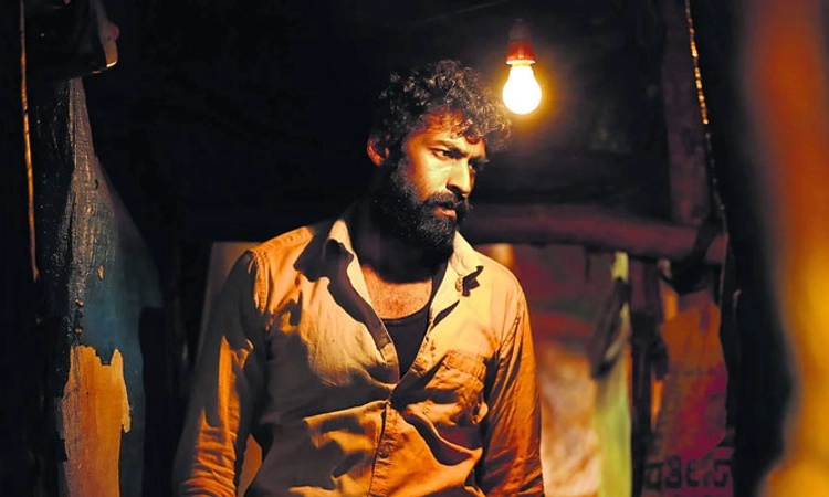 ಚಿತ್ರೀಕರಣ ಮುಗಿಸಿದ ವಿನಯ್‌ ರಾಜ್‌ಕುಮಾರ್‌ ನಟನೆಯ ‘ಪೆಪೆ’