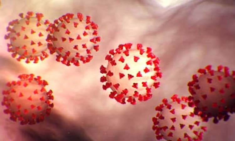 ಕಲಬುರಗಿ: 24 ಗಂಟೆ ಅವಧಿಯಲ್ಲಿ ಓರ್ವ ಕೋವಿಡ್ ಶಂಕಿತ ಸೇರಿ 9 ಸೋಂಕಿತರ ಸಾವು