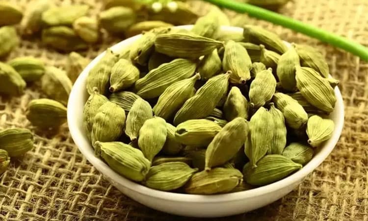 ಆರೋಗ್ಯ ಸಂಜೀವಿನಿ ಈ ಏಲಕ್ಕಿ