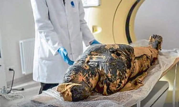 ಗರ್ಭಿಣಿ ಮಮ್ಮಿ ಪತ್ತೆ