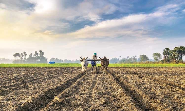 ಉಡುಪಿ ಕ್ಷೇತ್ರ: 2 ಸಾವಿರ ಎಕ್ರೆಯಲ್ಲಿ ಸಾವಯವ ಕೃಷಿ