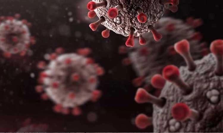 ಮನೆಗಳಿಗೂ ಹಬ್ಬುತ್ತಿದೆ ಕೋವಿಡ್; ಸ್ವಯಂ ಎಚ್ಚರಿಕೆ ಅಗತ್ಯ