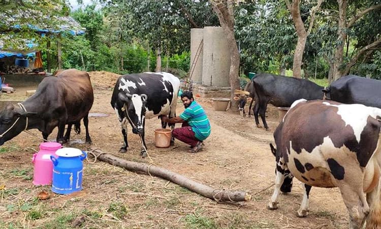 ಲಾರಿ ಚಾಲಕ ಈಗ ಹಾಲು ಉತ್ಪಾದಕ