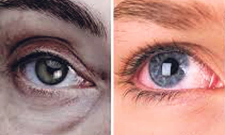 ನಮ್ಮ ಕಣ್ಣಿಗೆ ಕಂಡ ನಮ್ಮ ಸತ್ಯ