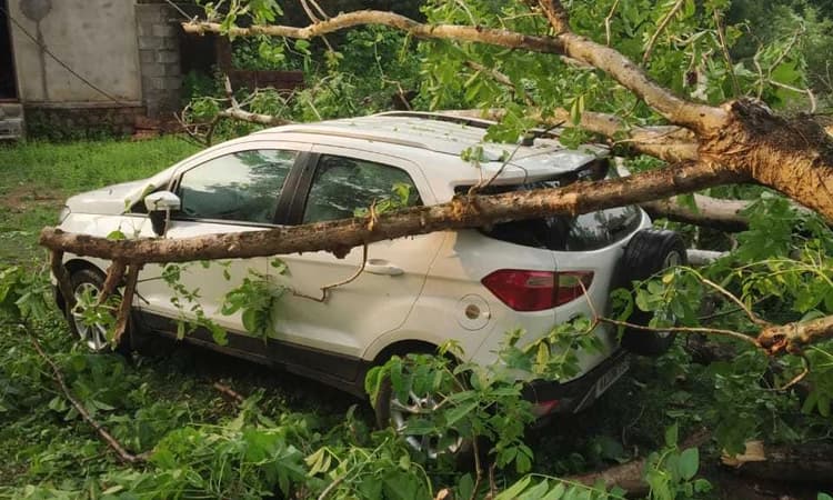 ಅಜೆಕಾರು, ಹೆಬ್ರಿ: ಗಾಳಿ ಮಳೆಗೆ ಅಪಾರ ನಷ್ಟ