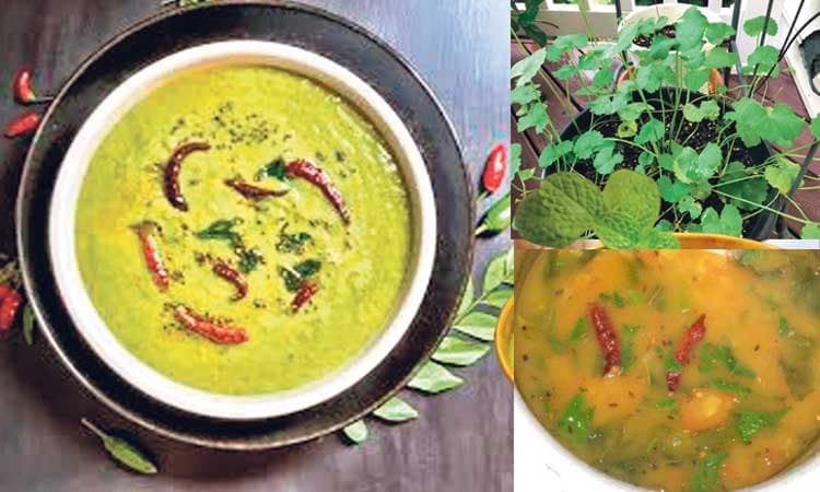 ಸಾಂಪ್ರದಾಯಿಕ ಆಹಾರ ಪದ್ಧತಿ ಪಾಲಿಸಿ