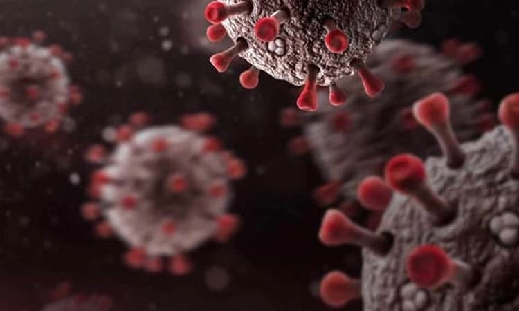 ಶೇ.50 ಶುಲ್ಕ ವಿನಾಯ್ತಿಗೆ ಖಾಸಗಿ ಆಸ್ಪತ್ರೆಗಳು ಮುಂದಾಗಲು ಸಲಹೆ