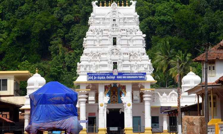 ಕುಕ್ಕೆ ಸುಬ್ರಹ್ಮಣ್ಯ : ವಾರ್ಷಿಕ ಆದಾಯ 68.94 ಕೋ.ರೂ. : ಕಳೆದ ಬಾರಿಗಿಂತ 29 ಕೋ.ರೂ. ಕಡಿಮೆ