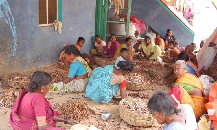ಬಿಸಿಲಿನ ತಾಪದಲ್ಲೂ ನೆರಳಲ್ಲೇ ಉದ್ಯೋಗಾವಕಾಶ