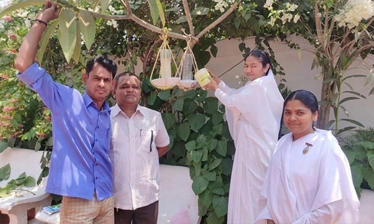 ಪಕ್ಷಿ ಸಂಕುಲ ಉಳಿಸಲು ನೂತನ ಅಭಿಯಾನ