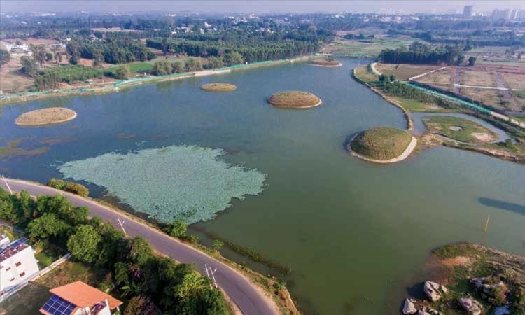 ಮಳೆ ಪ್ರಮಾಣದಲ್ಲಿ ವರ; ಉಳಿಸಿಕೊಳ್ಳುವಲ್ಲಿ ಶಾಪ