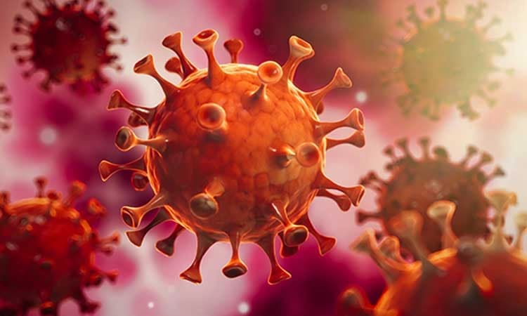 ಕೋವಿಡ್‌ ಹರಡದಂತೆ ಸೂಕ್ತ ಕ್ರಮಕ್ಕೆ ಡಿಸಿ ಸೂಚನೆ