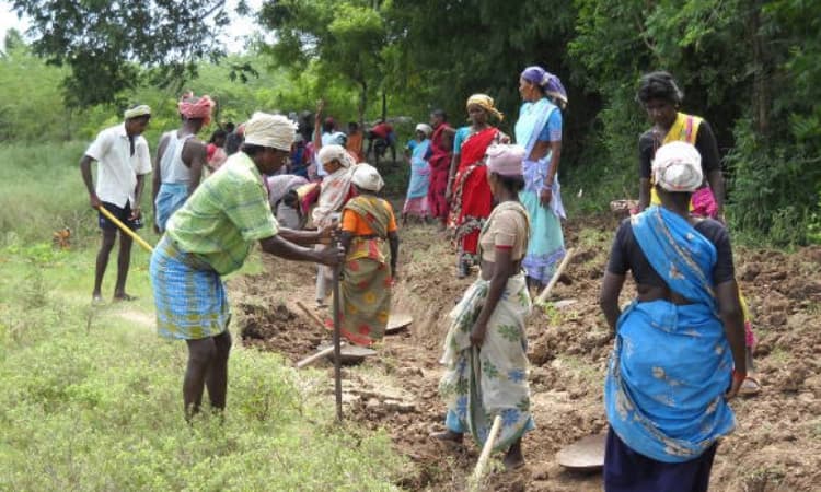 ಕೋವಿಡ್‌ ಸಂಕಷ್ಟ: ನೆರವಾದ ನರೇಗಾ ಯೋಜನೆ :  ಜಿಲ್ಲೆಯಲ್ಲಿ ಉಡುಪಿ ತೋಟಗಾರಿಕೆ ಇಲಾಖೆ ನಂ.3