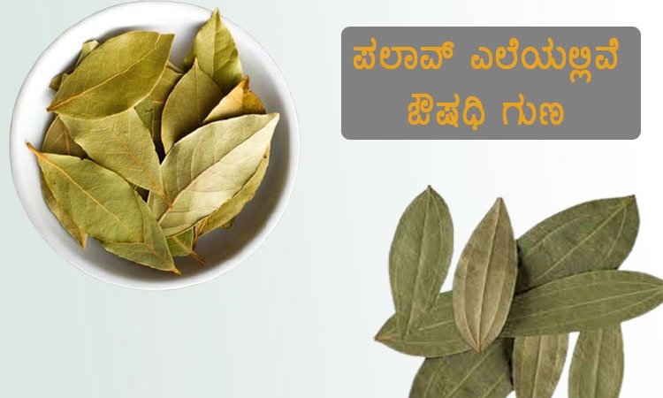 ಪಲಾವ್ ಎಲೆ ಸೇವನೆಯಿಂದಾಗುವ ಪ್ರಯೋಜನಗಳೇನು ?