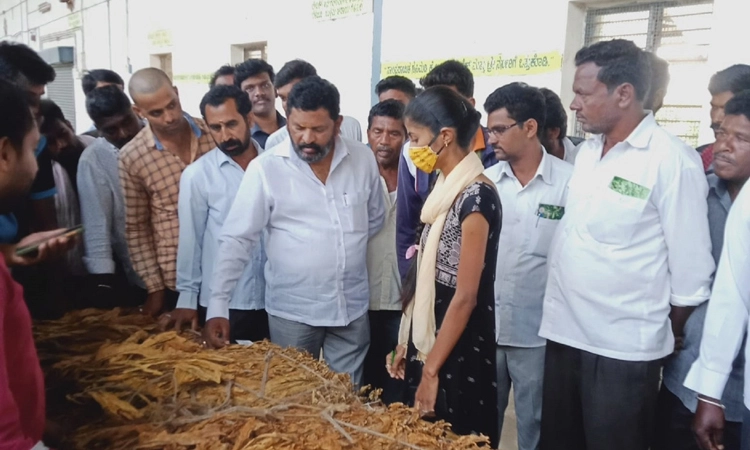 ತಂಬಾಕಿಗೆ ದರ ನೀಡದಿದ್ದರೆ ಹರಾಜು ನಿಲ್ಲಿಸಿ : ಶಾಸಕ ಮಂಜುನಾಥ್