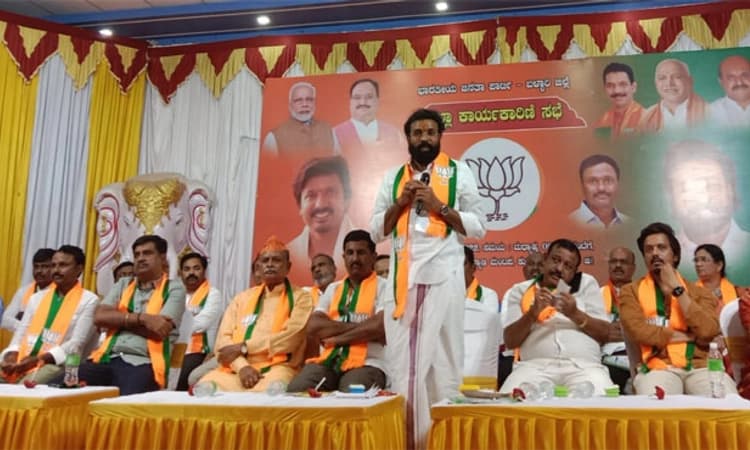 ಹಗರಿ ಬೊಮ್ಮನಹಳ್ಳಿ ಶಾಸಕ ಹಣದ ದರ್ಪದಿಂದ ಮೆರೆಯುತ್ತಿದ್ದಾನೆ: ಸಚಿವ ಶ್ರೀರಾಮುಲು