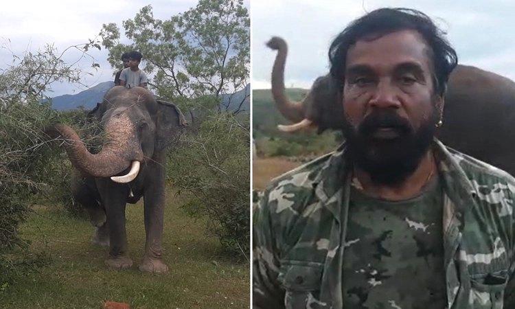 ಪುಂಡಾನೆಗಳಿಗೆ ರೇಡಿಯೋ ಕಾಲರ್ ಅಳವಡಿಸಿ: ಪರಿಸರವಾದಿ ವಿಕ್ರಂ ಒತ್ತಾಯ