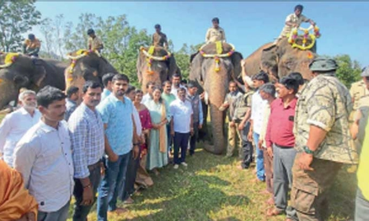 ನರಹಂತಕ ಭೈರ ಕಾಡಾನೆ ಸೆರೆಗೆ ಸಕಲ ಸಿದ್ಧತೆ