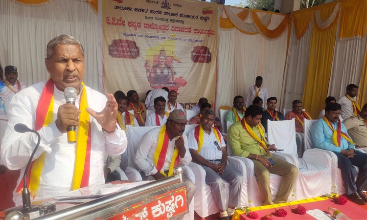 ಕುಷ್ಟಗಿ: ಕನ್ನಡ ಭಾಷೆಯ ಅಭಿಮಾನ ಮರೆಯದೇ ಮೆರೆಯಬೇಕು; ಶಾಸಕ ಅಮರೇಗೌಡ ಪಾಟೀಲ